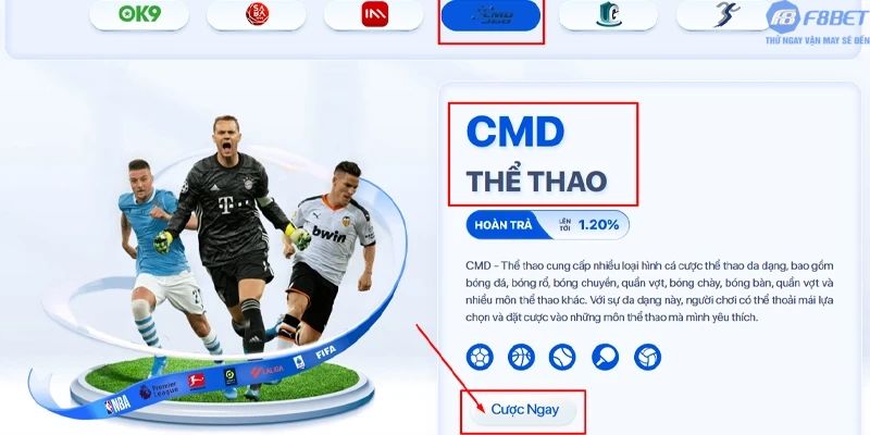 Sảnh thể thao CMD là gì? Vì sao lại “hot” đến thế?