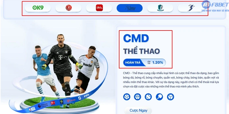 Nhà cung cấp Thể Thao tiêu biểu của F8bet1