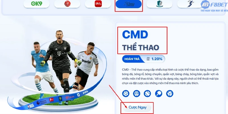 Sảnh thể thao CMD là gì? Vì sao lại “hot” đến thế?
